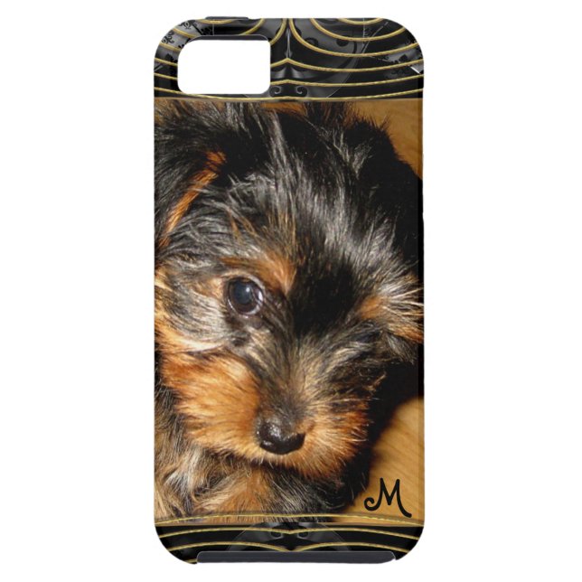 Funda De Case-Mate Para iPhone Qué usted Yorkie de ocultación (Atrás)