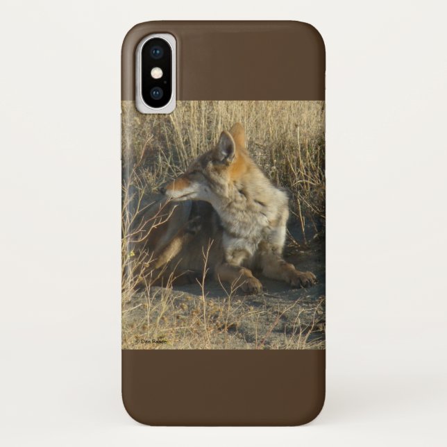 Funda De Case-Mate Para iPhone R16 Coyote Rascándose (Reverso)