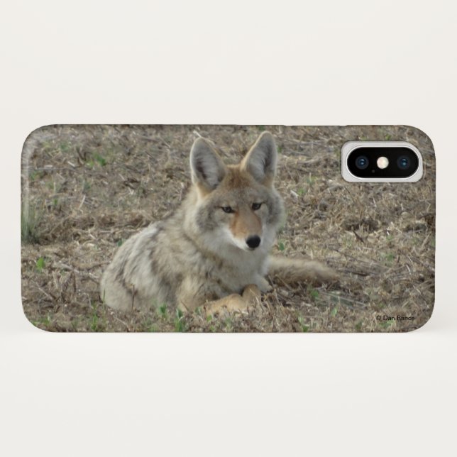 Funda De Case-Mate Para iPhone R22 Coyote Acostado (Reverso (horizontal))