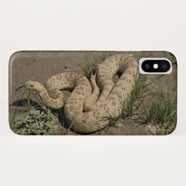 Funda De Case-Mate Para iPhone R6 Prairie Rattlesnake (Reverso (horizontal))