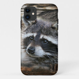 Funda Para iPhone 11 Raccoon En El Antiguo Barn