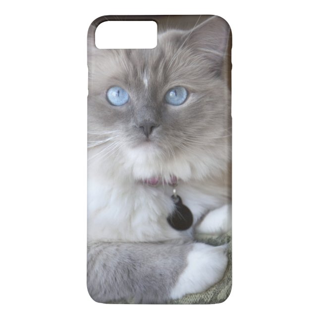 Funda De Case-Mate Para iPhone Ragdoll Cat (Reverso)