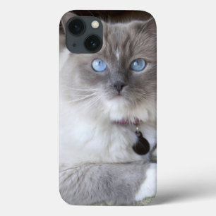 Funda Para iPhone 13 Ragdoll Cat