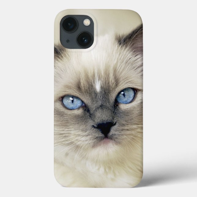 Funda De Case-Mate Para iPhone Ragdoll kitten (Reverso)