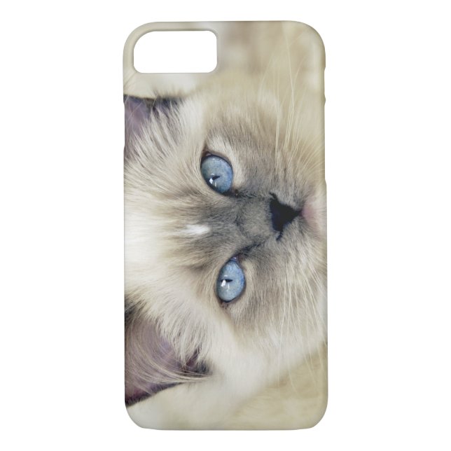 Funda De Case-Mate Para iPhone Ragdoll kitten (Reverso)