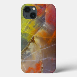Funda Para iPhone 13 Rainbow Colored Petrified Wood