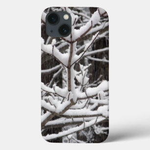 title_seo2 Ramas cubiertas de nieve
