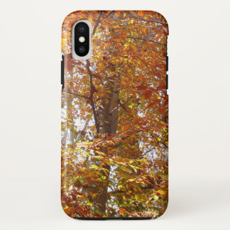 Funda Para iPhone X Ramas de Naranja abandonan la naturaleza otoñal