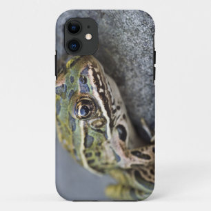 Funda Para iPhone 11 Rana del leopardo del norte, isla de See-through,