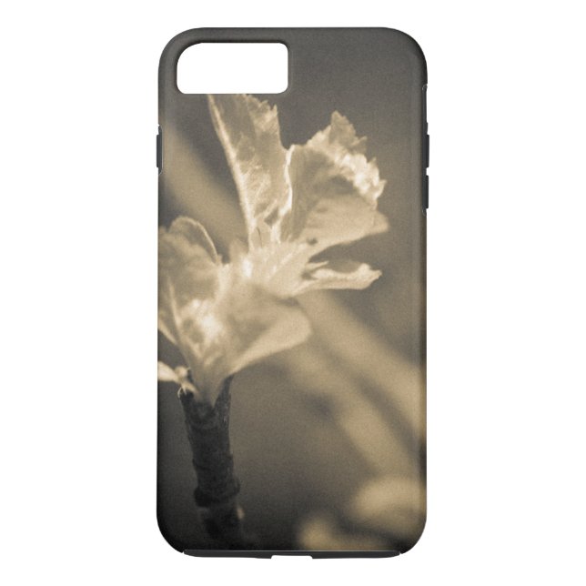 Funda De Case-Mate Para iPhone Rastro de primavera (Reverso)