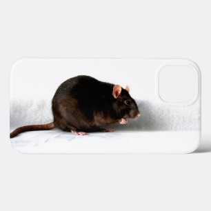 Funda Para iPhone 13 Rat iphcna