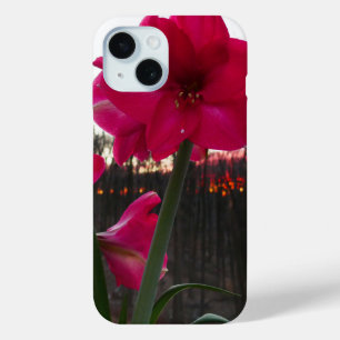 Funda Para iPhone 15 Red Amaryllis y el amanecer invernal