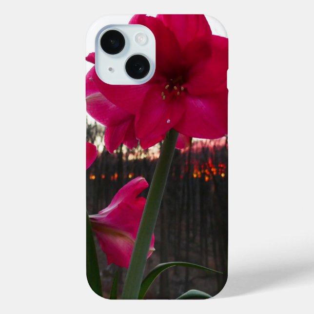 Funda De Case-Mate Para iPhone Red Amaryllis y el amanecer invernal (Reverso )