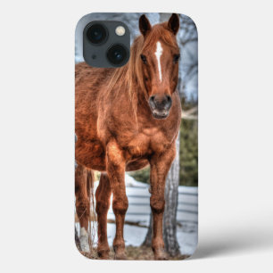 Funda Para iPhone 13 Red Dun Ranch Horse Equine-lover Photo