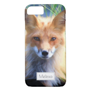 title_seo2 Red Fox en la escena de la hierba personalizada