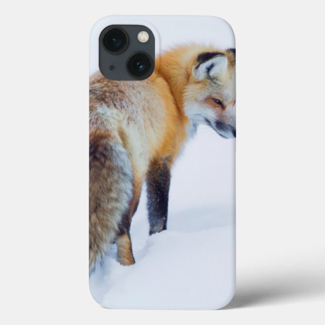 Funda De Case-Mate Para iPhone Red Fox in Winter (Reverso)