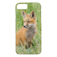 Red Fox Kit en césped cerca de den