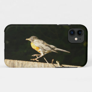 Funda Para iPhone 11 Red Robin