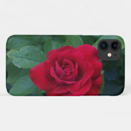 Funda Para iPhone 11 Red Rose Close