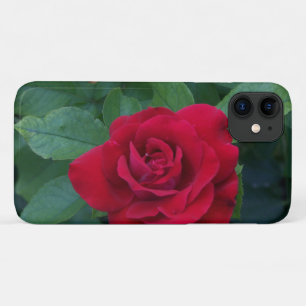 Funda Para iPhone 11 Red Rose Close