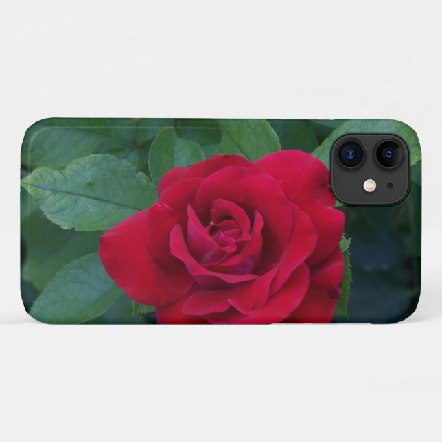 Funda De Case-Mate Para iPhone Red Rose Close (Reverso (horizontal))