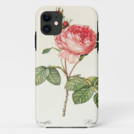 Funda Para iPhone 11 Redoute Rosa Centifolia (brillante)