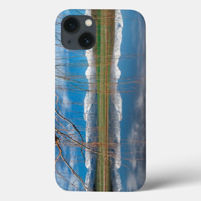 Funda De Case-Mate Para iPhone Reflexiones de invierno. Ceres, distrito de Boland (Reverso)