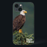 title_seo2 Regal Bald Eagle<br><div class="desc">El águila calva parece regal y está encaramado en lo alto de los verdes. Foto enviada por un lector de Birds & Blooms. Birds & Blooms es la revista de pájaros y jardines número 1 en Norteamérica. Nos enorgullecemos de celebrar la "belleza en su propio patio trasero" cubriendo una amplia...</div>