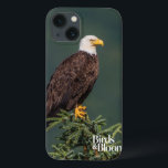 title_seo2 Regal Bald Eagle<br><div class="desc">El águila calva parece regal y está encaramado en lo alto de los verdes. Foto enviada por un lector de Birds & Blooms. Birds & Blooms es la revista de pájaros y jardines número 1 en Norteamérica. Nos enorgullecemos de celebrar la "belleza en su propio patio trasero" cubriendo una amplia...</div>