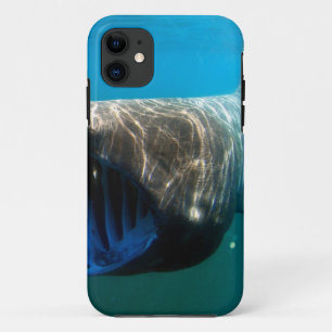 Funda Para iPhone 11 Regalos de destino oceánico tropical de los peces