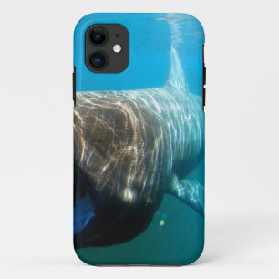 Funda Para iPhone 11 Regalos de destino oceánico tropical de los peces
