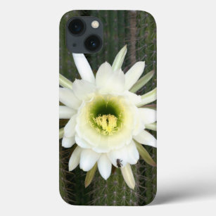 Funda Para iPhone 13 Reina De La Flor De Cactus Nocturna, Región De Kar