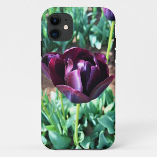Funda Para iPhone 11 Reina del tulipán nocturno, Oregón