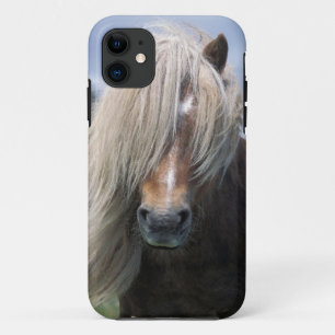 title_seo2 Reino Unido, Escocia, Islas Shetland, pony de Shet