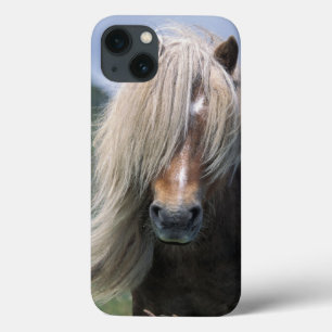 Funda Para iPhone 13 Reino Unido, Escocia, Islas Shetland, pony Shetlan