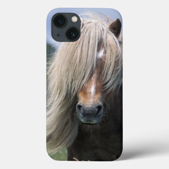 Funda De Case-Mate Para iPhone Reino Unido, Escocia, Islas Shetland, pony Shetlan (Reverso)