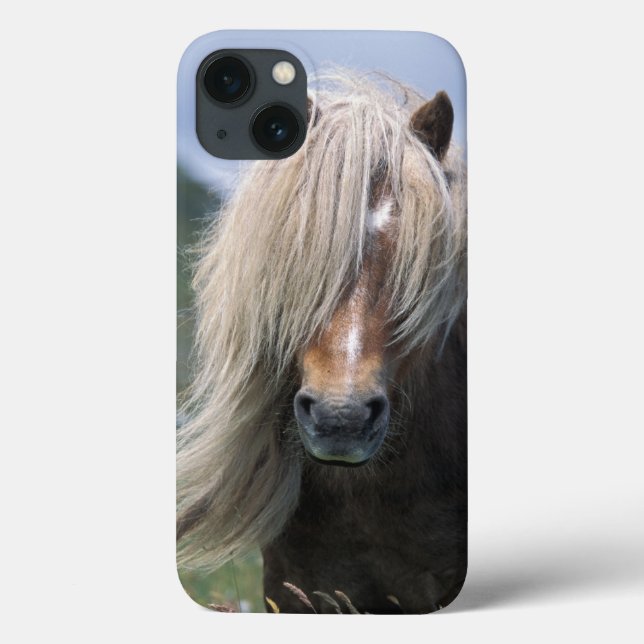 Funda De Case-Mate Para iPhone Reino Unido, Escocia, Islas Shetland, pony Shetlan (Reverso)