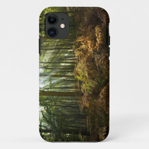 Funda Para iPhone 11 Reino Unido, Inglaterra. Rayos de sol que se filtr