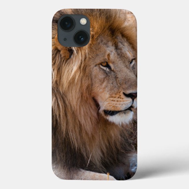 Funda De Case-Mate Para iPhone Reserva nacional de Maasai Mara del león, Kenia (Reverso)