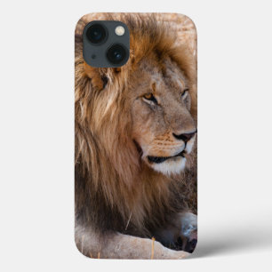 Funda Para iPhone 13 Reserva nacional de Maasai Mara del león, Kenia