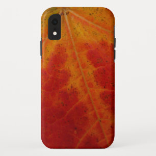 Funda Para iPhone XR Resumen de la hoja de arce roja Fotografía de la n