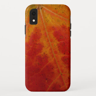 Funda Para iPhone XR Resumen de la hoja de arce roja Fotografía de la n