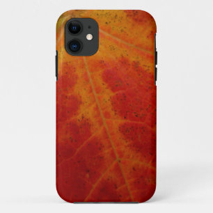 Funda Para iPhone 11 Resumen de la hoja de arce roja Fotografía de la n