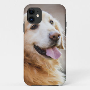 Funda Para iPhone 11 Retiver dorado, perro, perro feliz