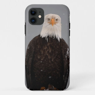 Funda Para iPhone 11 Retrato de águila calva en la nieve, Haliaeetus