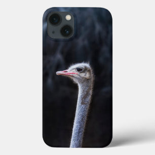 Funda Para iPhone 13 retrato de avestruz