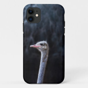 Funda Para iPhone 11 retrato de avestruz