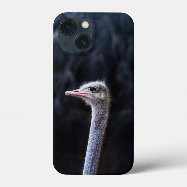Funda De Case-Mate Para iPhone retrato de avestruz (Reverso )