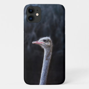 Funda Para iPhone 11 retrato de avestruz