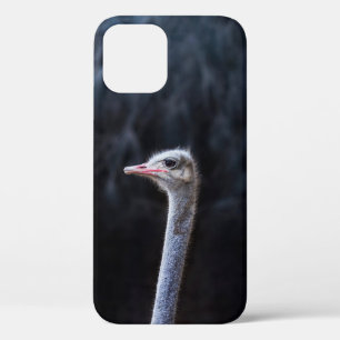 Funda Para iPhone 12 retrato de avestruz